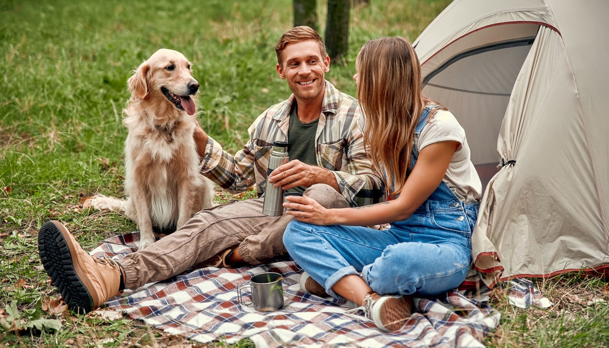 Camping les îles Passy Activités et services animaux chien